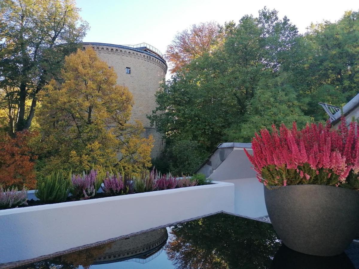 Serenade Am Zwinger Apartment *